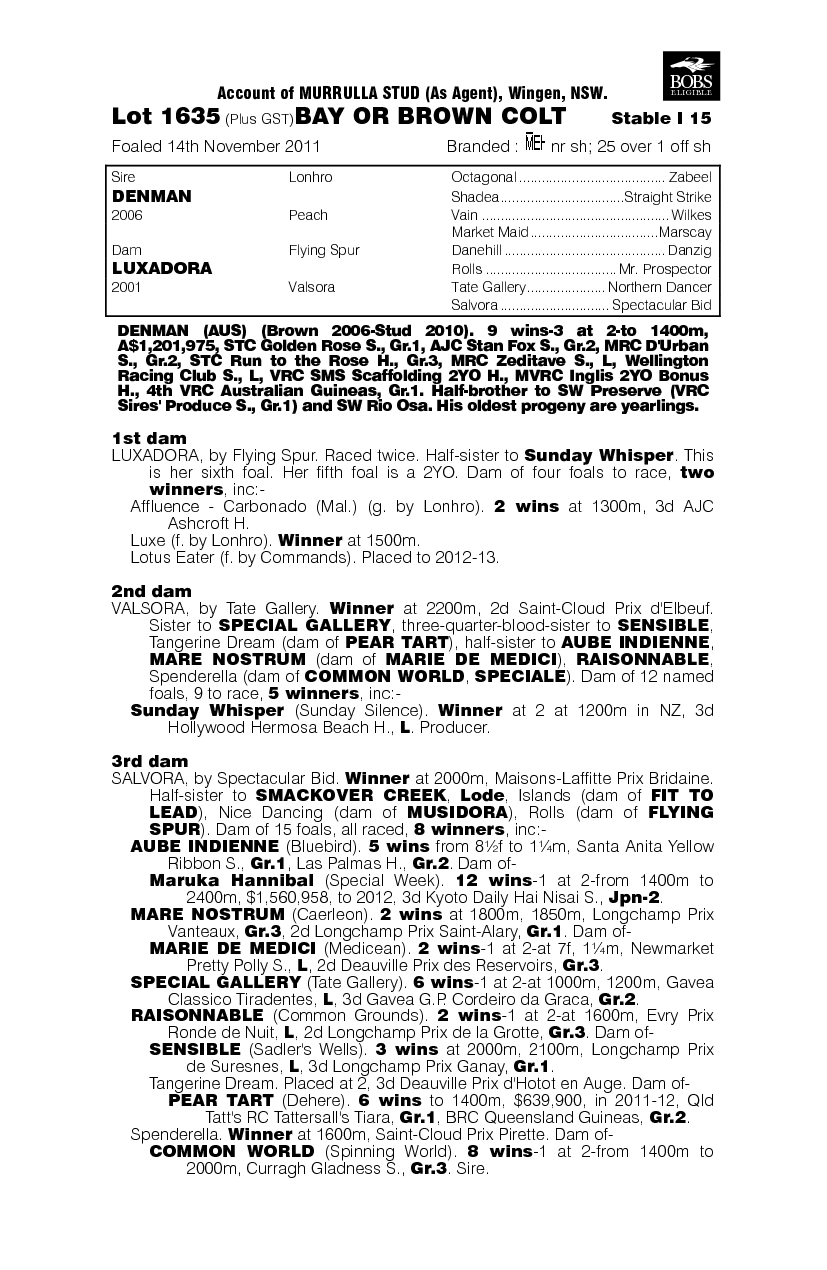 Doctor Burger (AUS) - pedigree