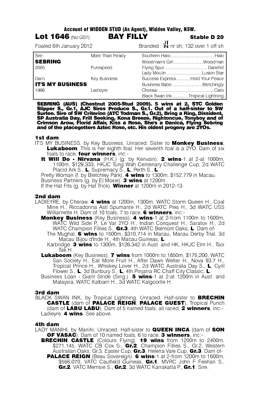 Sebring (AUS) / It's My Business (AUS) - pedigree