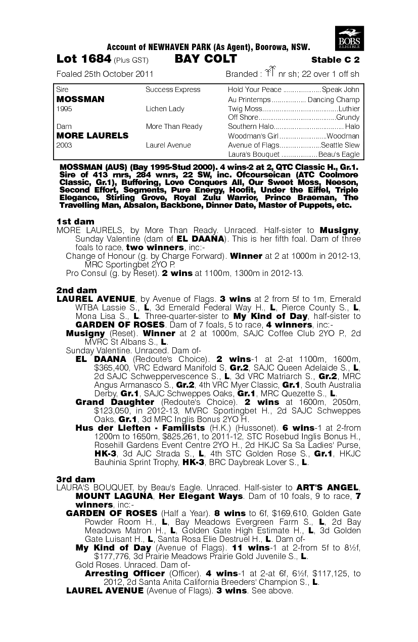 Mossman (AUS) / More Laurels (AUS) - pedigree
