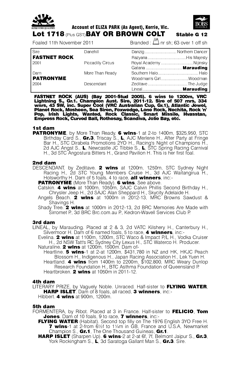 Vidaloca (AUS) - pedigree