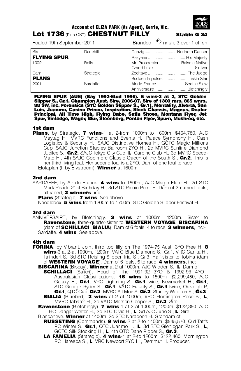 Gin Lizzie (AUS) - pedigree