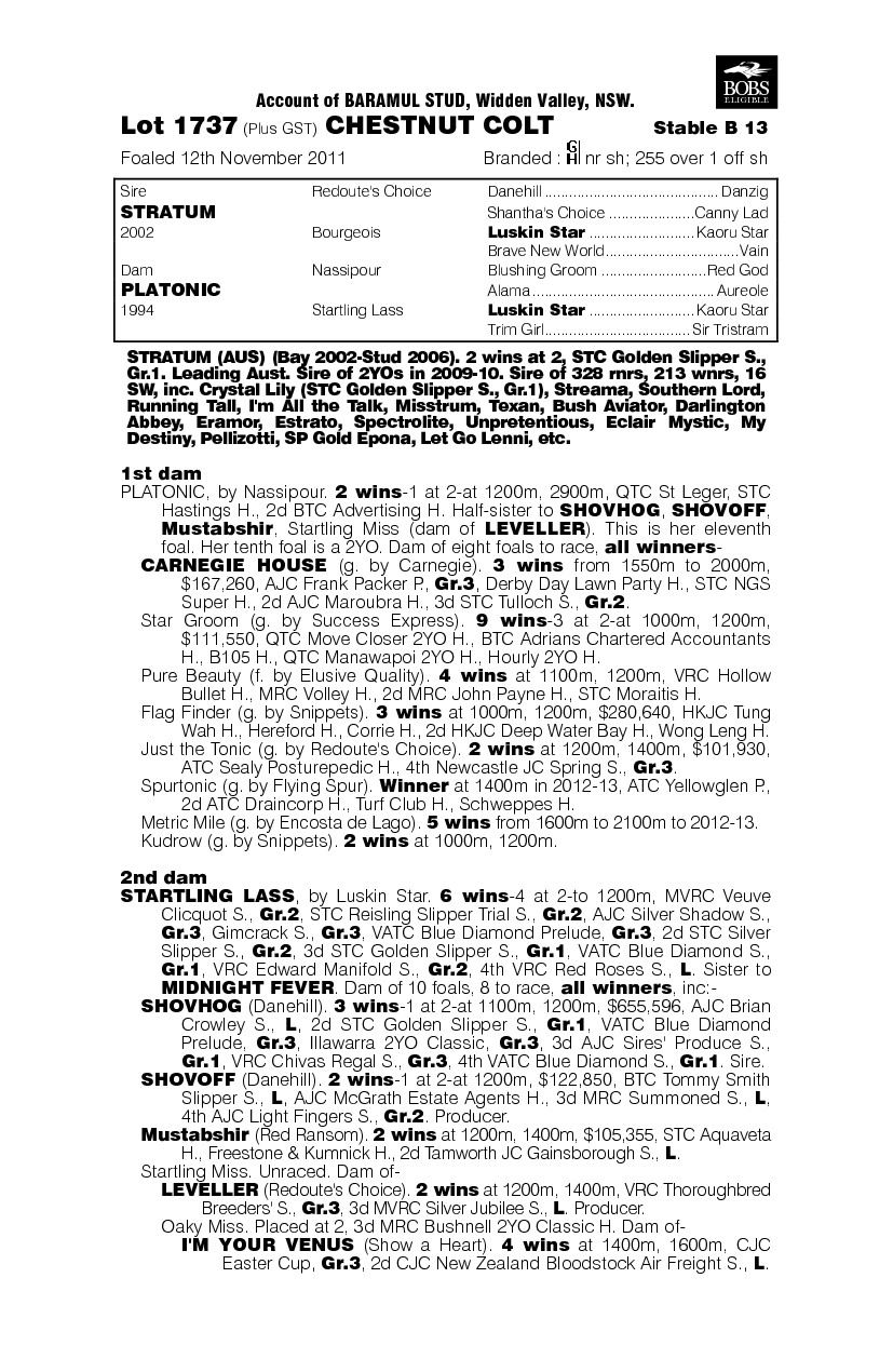 Stratum (AUS) / Platonic (AUS) - pedigree