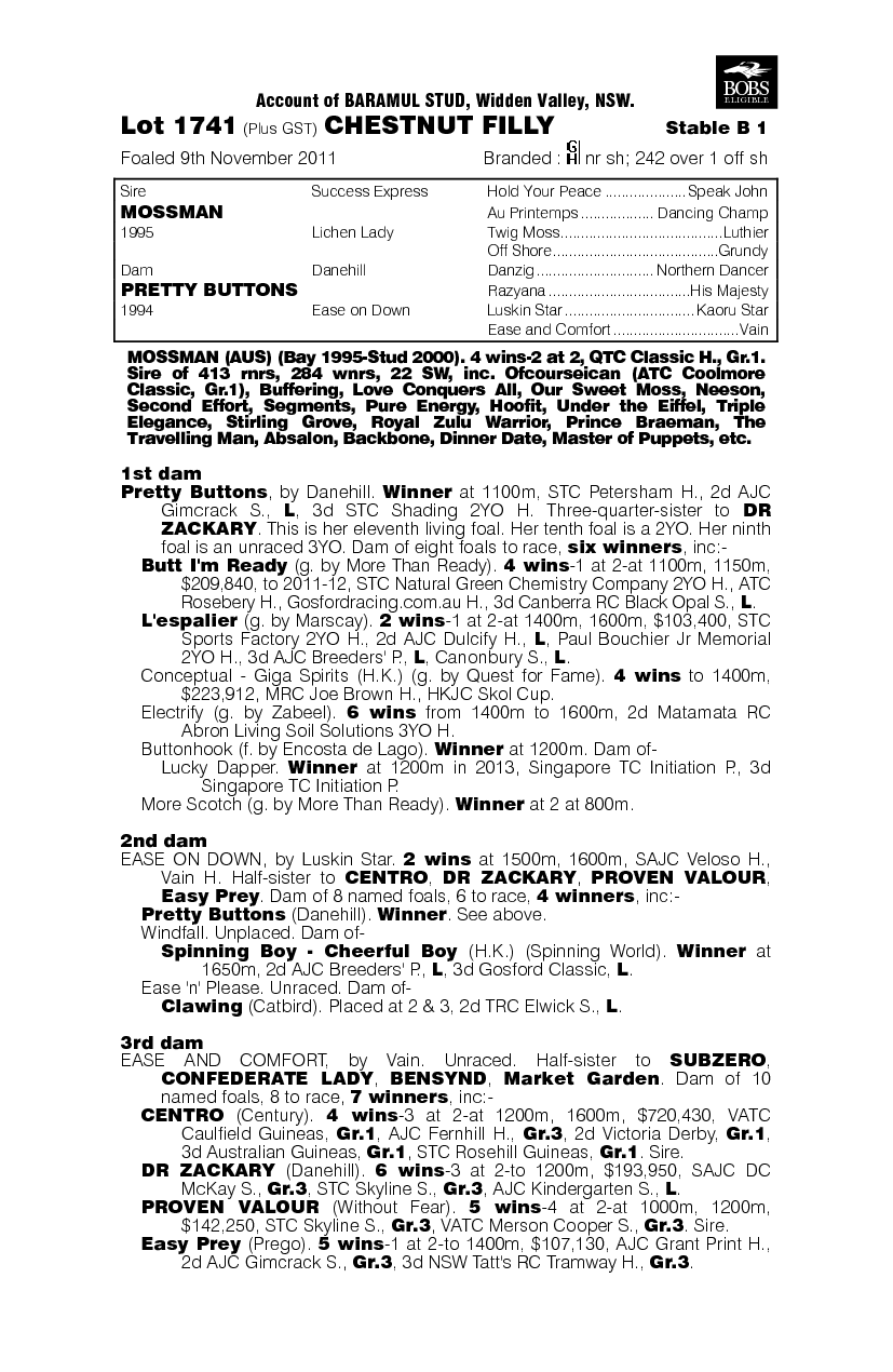 Gold Buttons (AUS) - pedigree