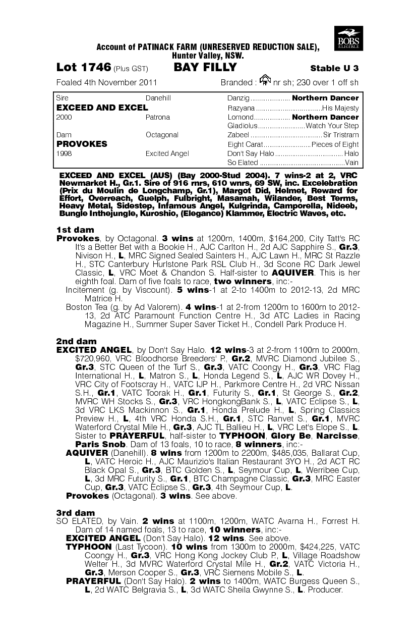 Bit and Bop (AUS) - pedigree