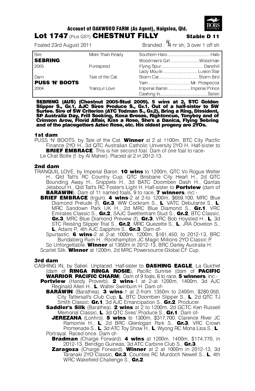 Wild Diva (AUS) - pedigree