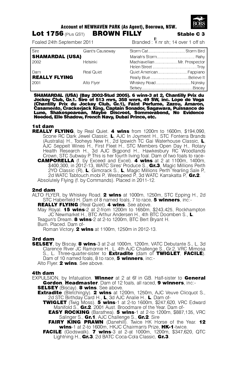 Affair (AUS) - pedigree