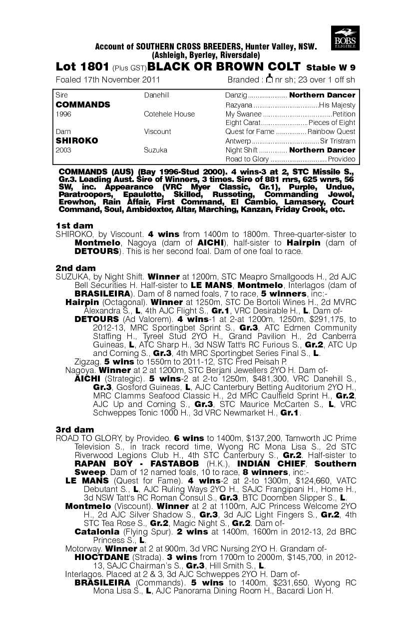 Commands (AUS) / Shiroko (AUS) - pedigree