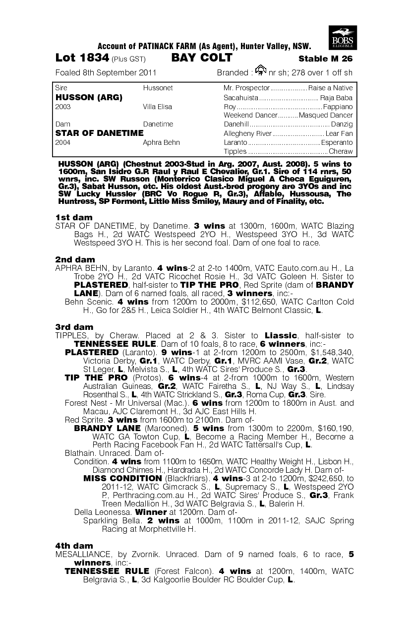 Husson's Shout (AUS) - pedigree