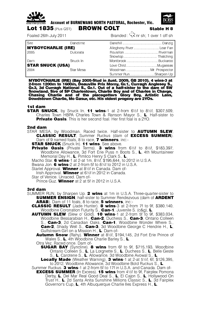 Mystarcharlie (AUS) - pedigree