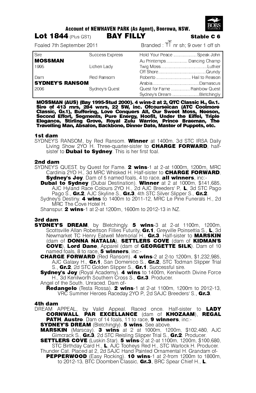Mossman (AUS) / Sydney's Ransom (AUS) - pedigree