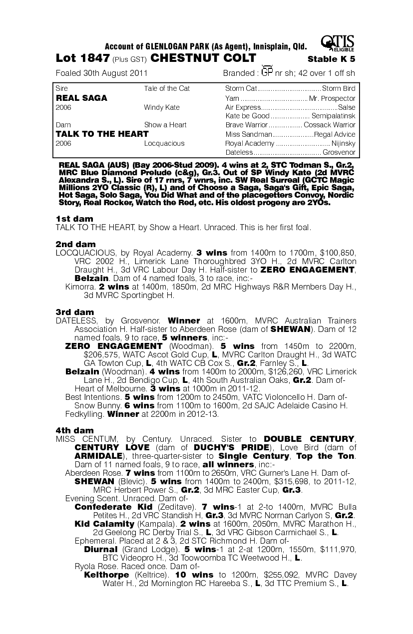 Western Saga (AUS) - pedigree