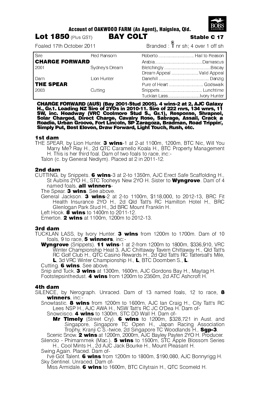 Offensive Play (AUS) - pedigree