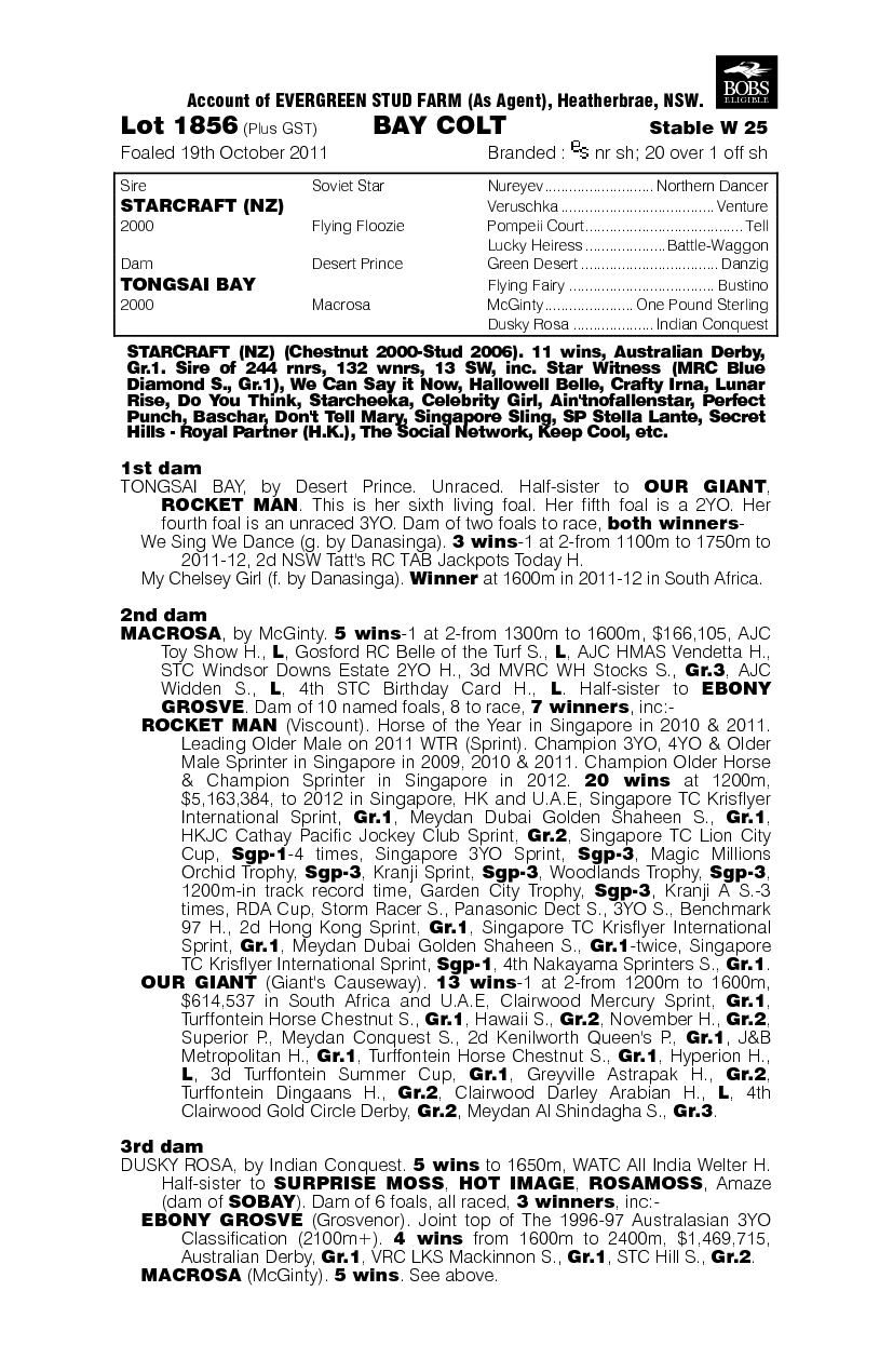 Saturno (AUS) - pedigree