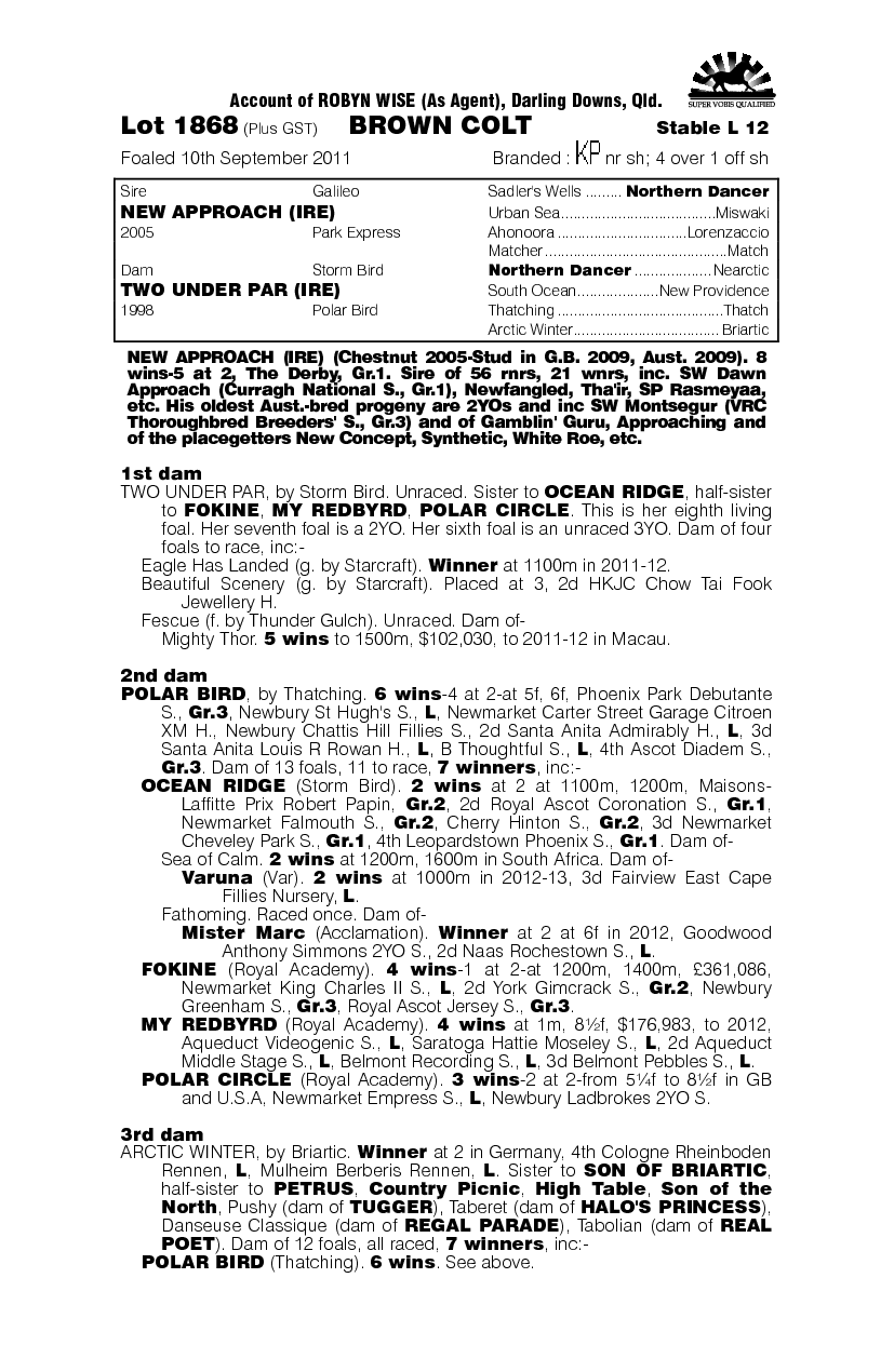 Silent Approach (AUS) - pedigree