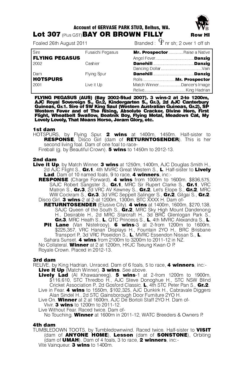 Flying Pegasus (AUS) / Hotspurs (AUS) - pedigree