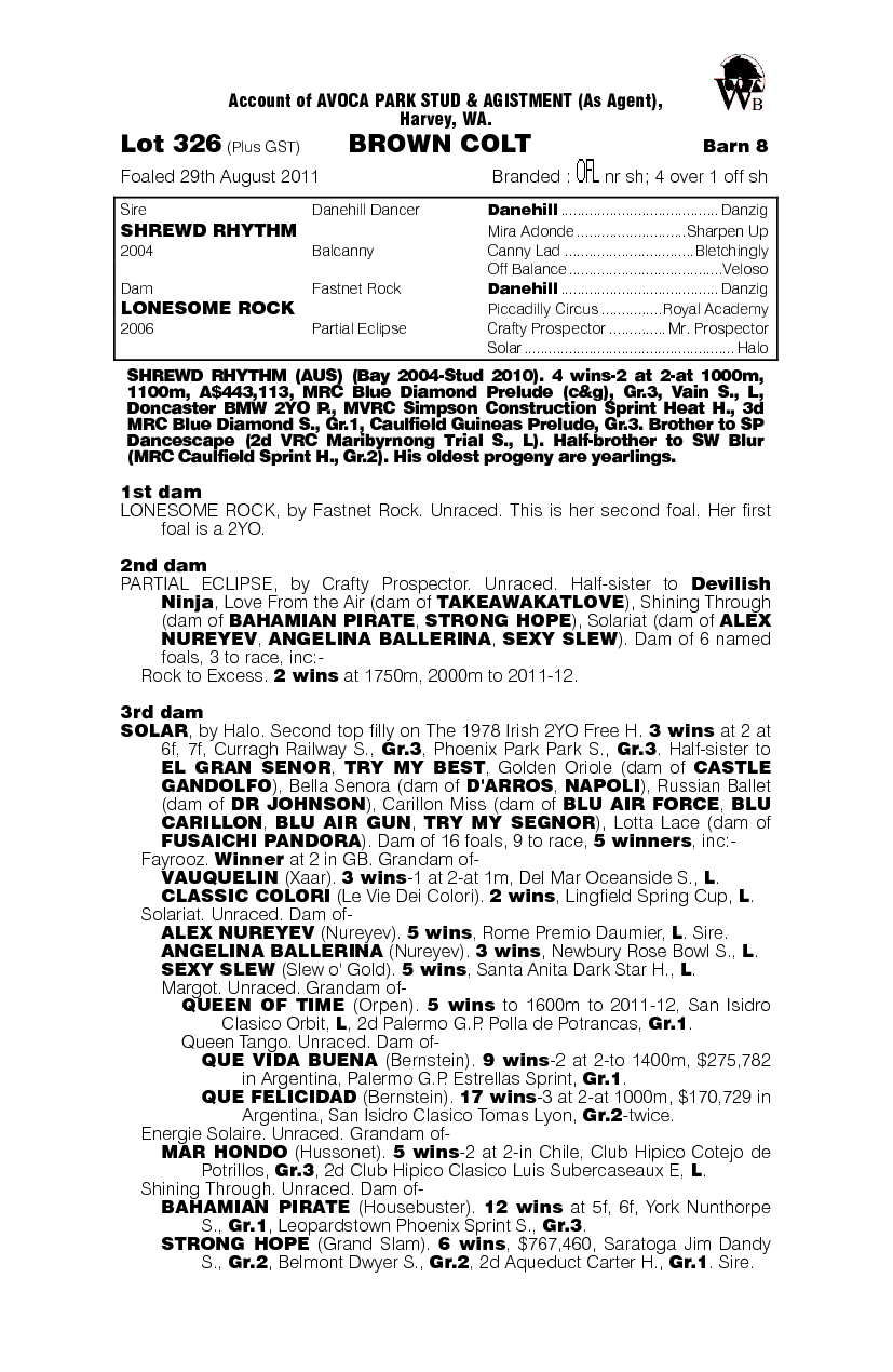 Real Busy (AUS) - pedigree