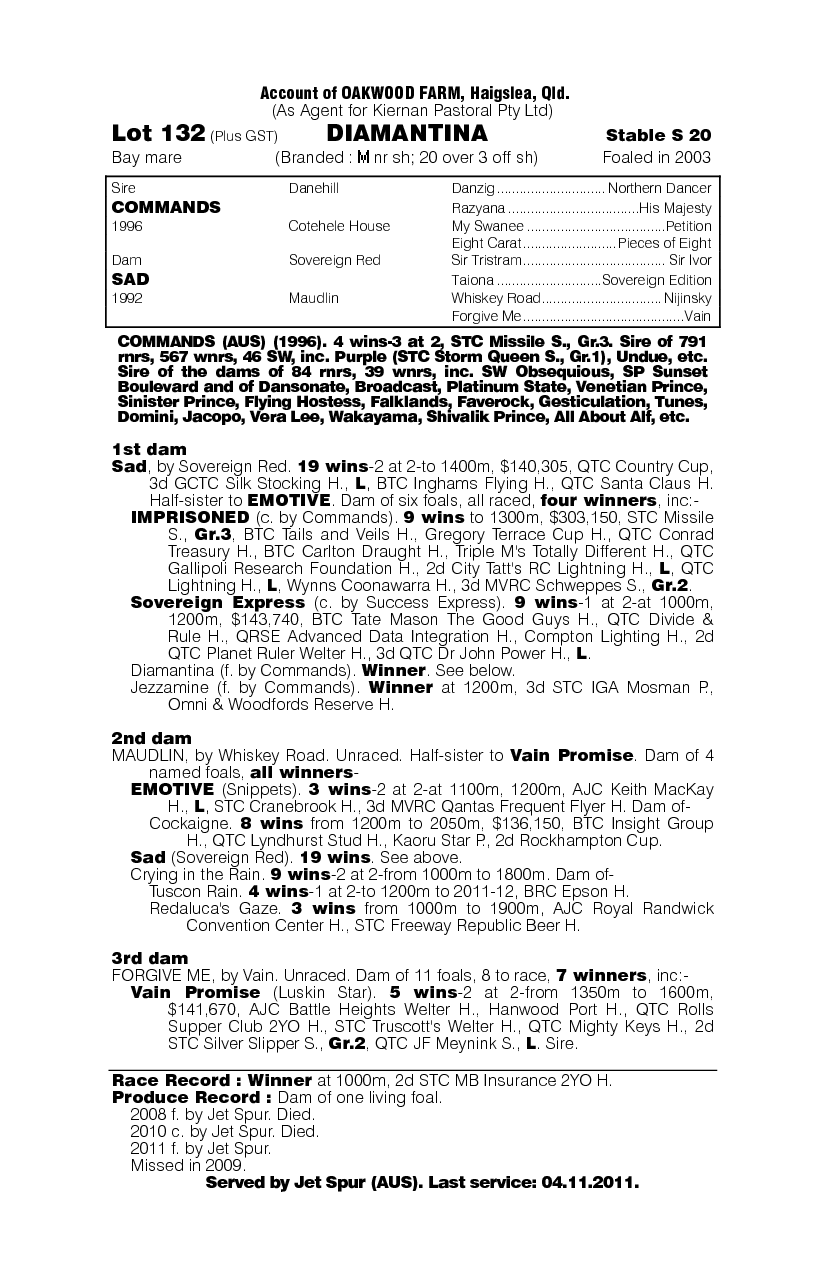 Diamantina - pedigree