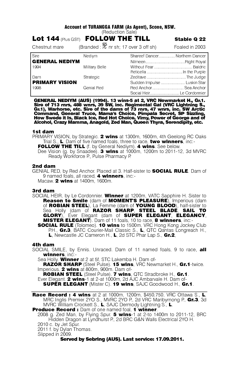 Follow the Till (AUS) - pedigree