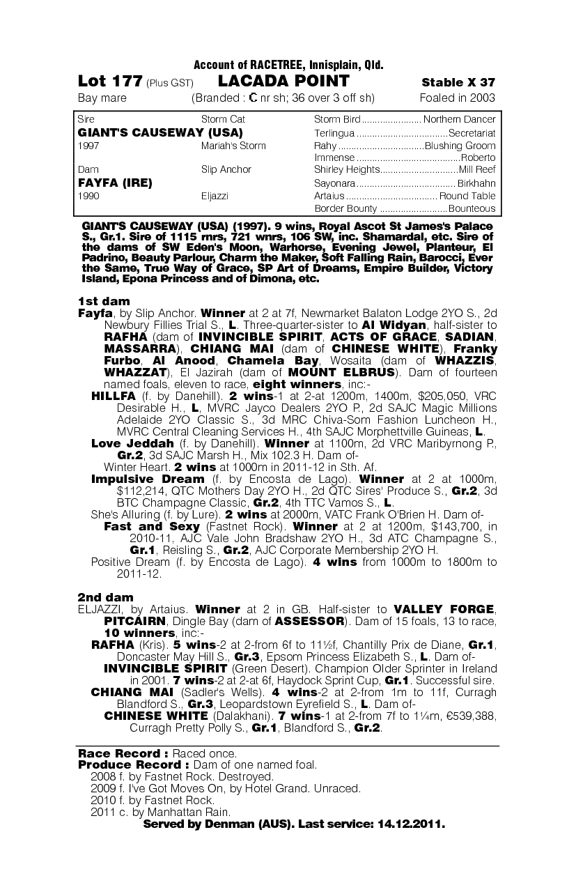 Lacada Point - pedigree