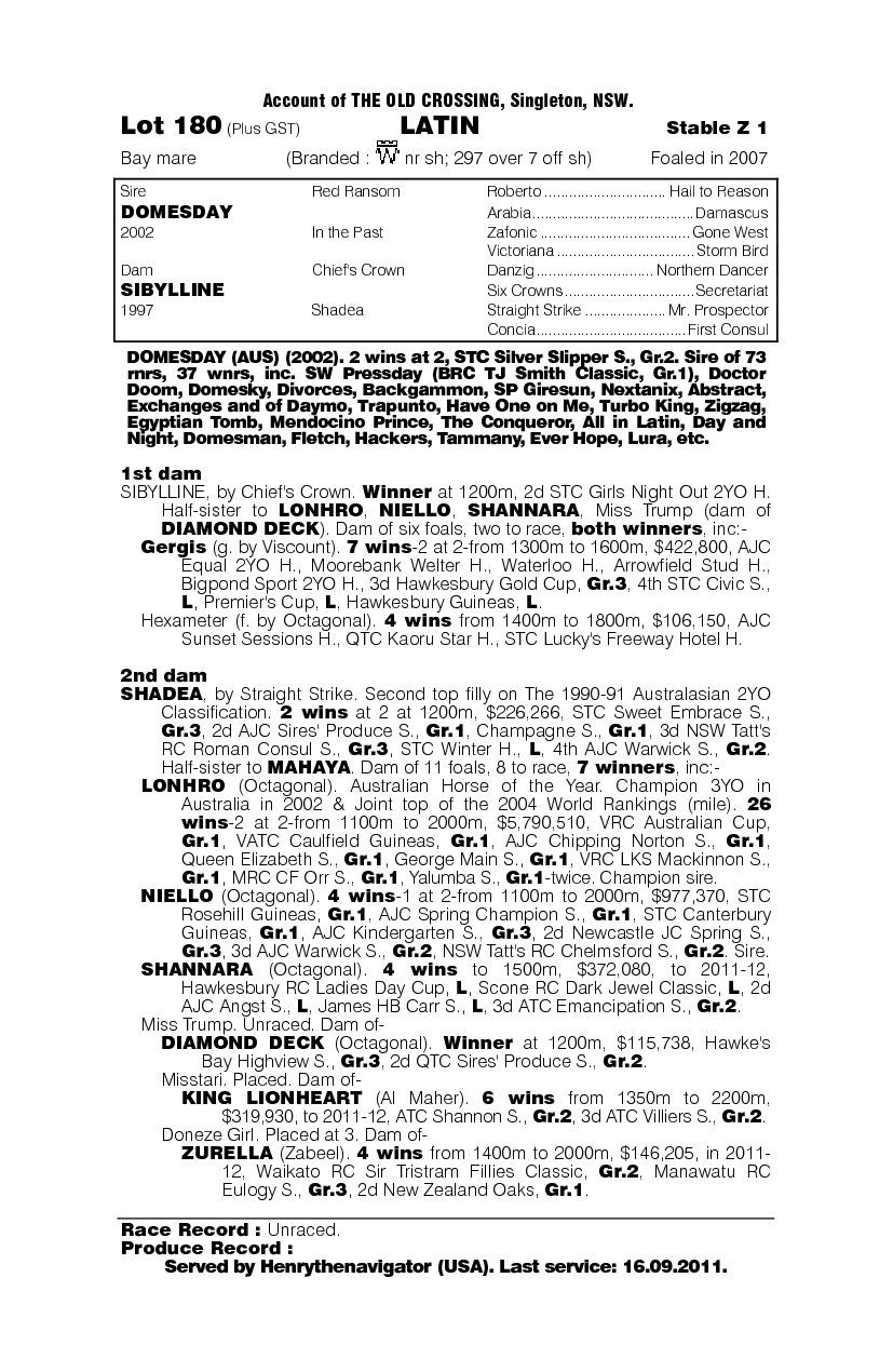 Latin (AUS) - pedigree