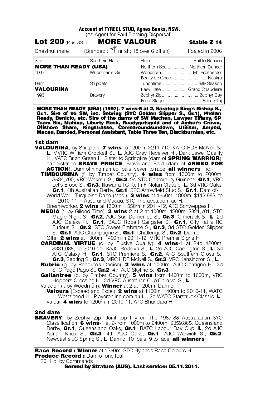More Valour (AUS) - pedigree