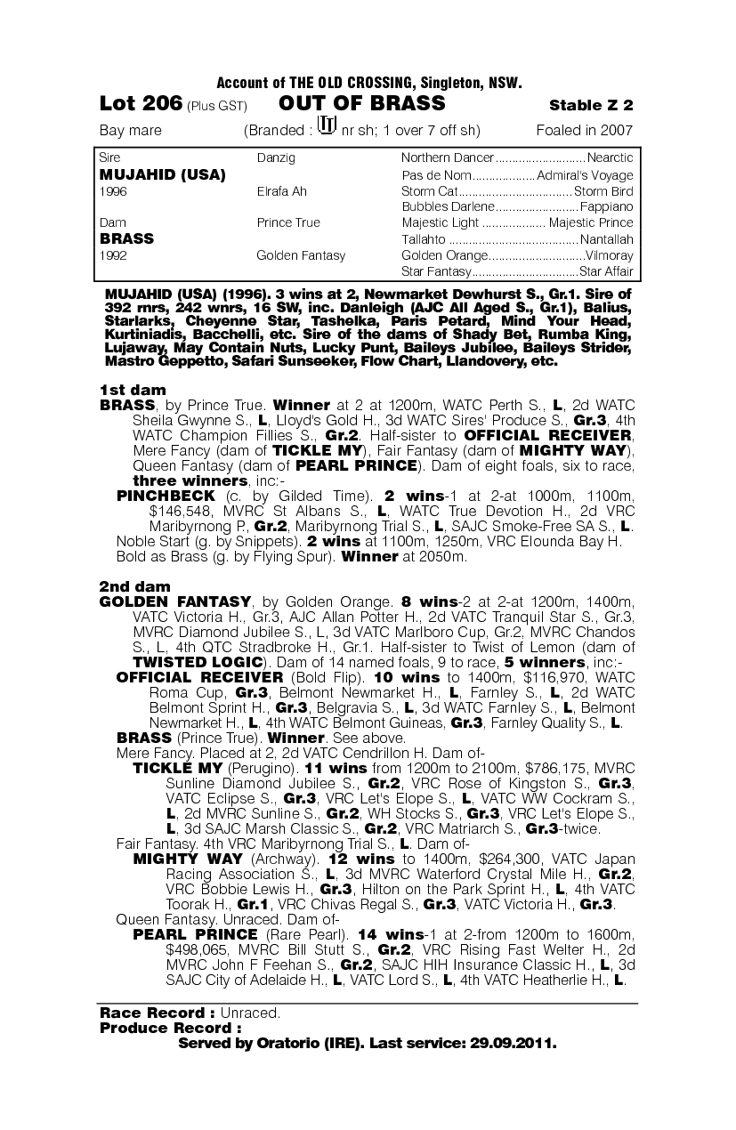 Out Of Brass - pedigree