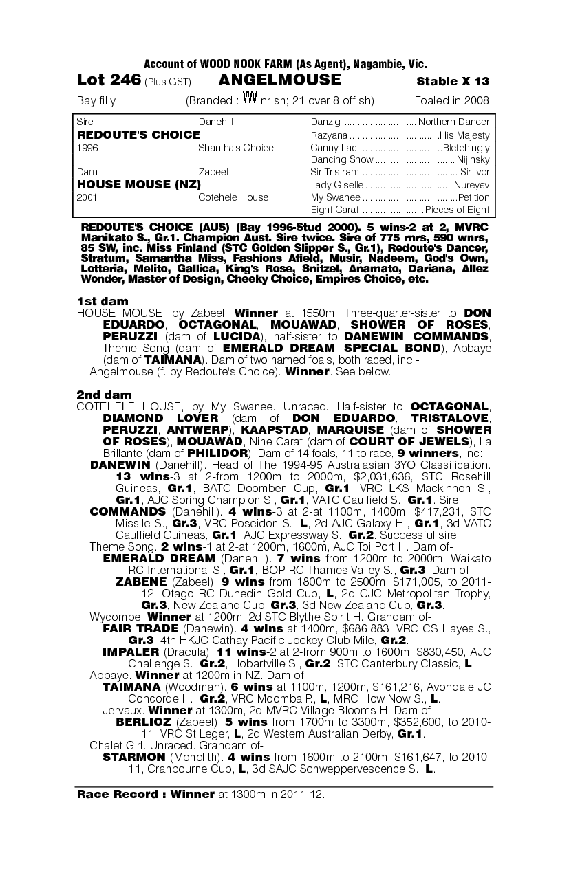 Angelmouse - pedigree