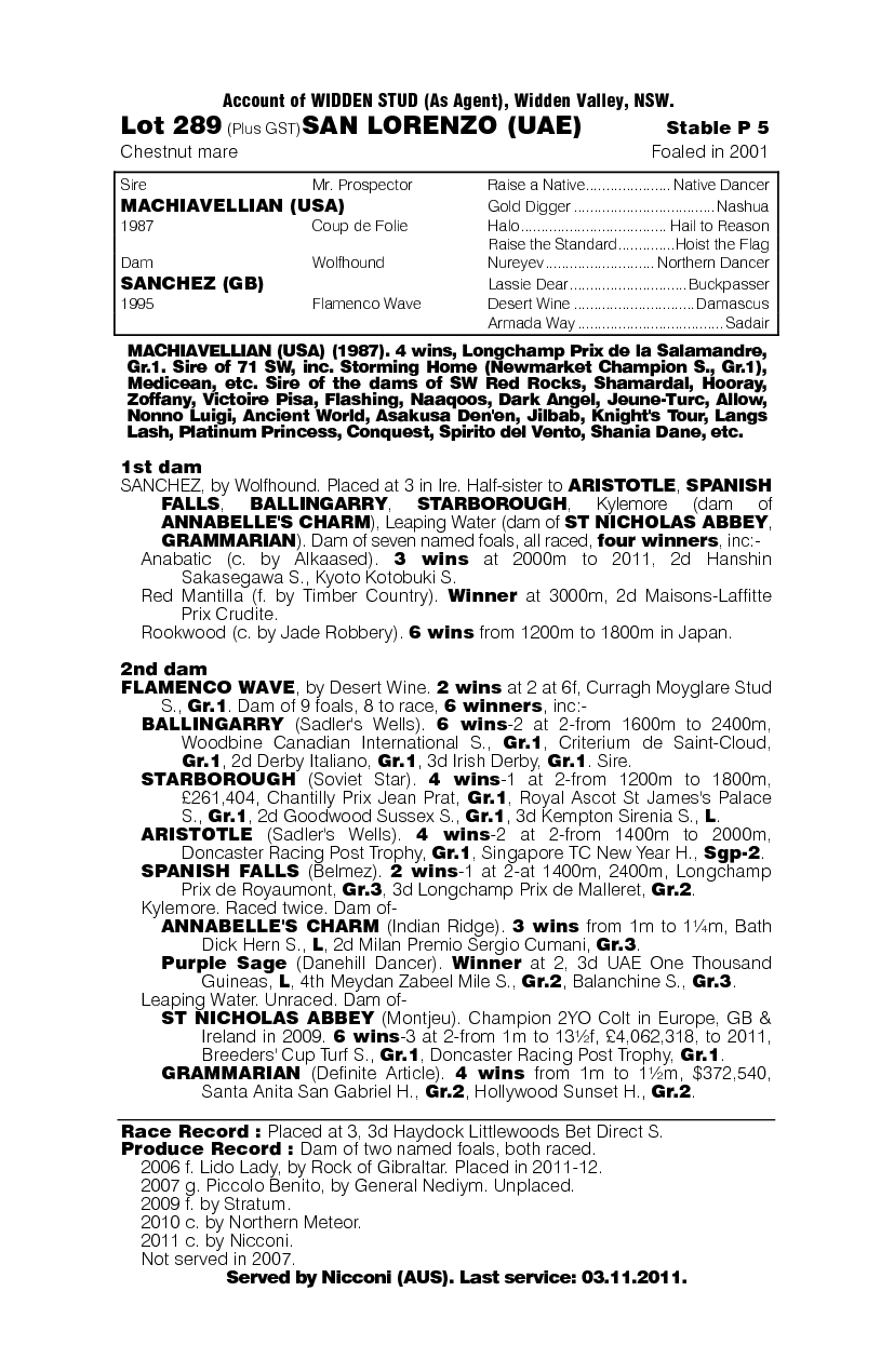 San Lorenzo (UAE) - pedigree