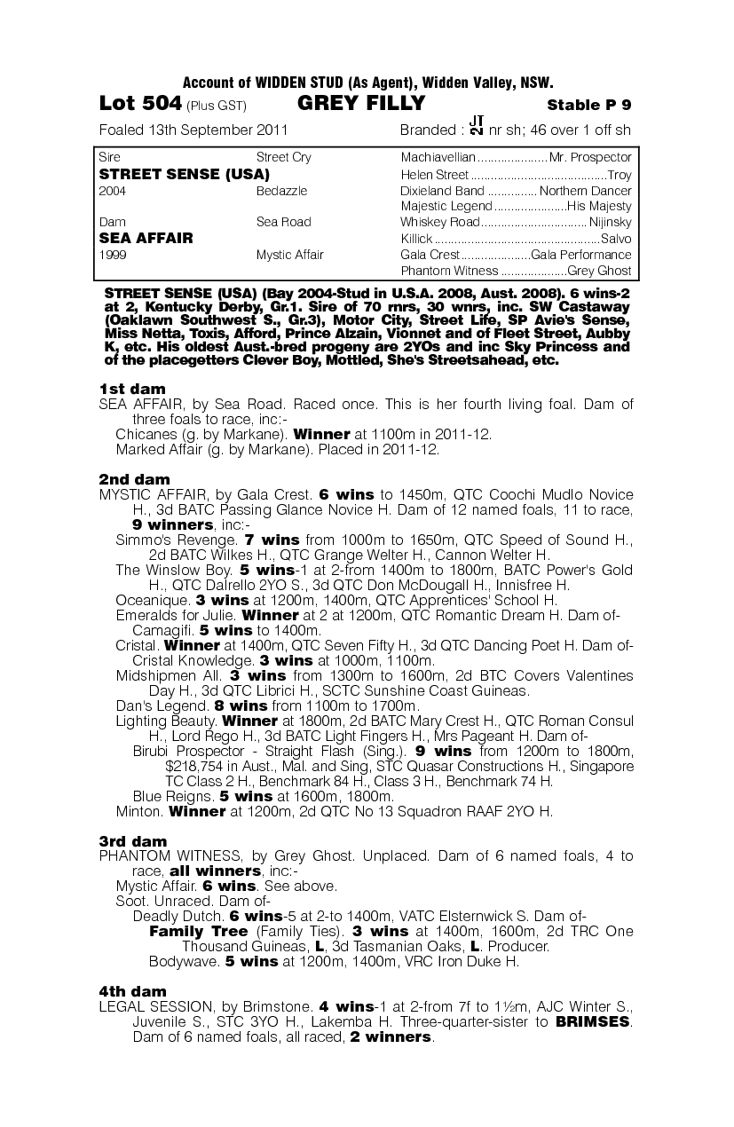 Star Secret - pedigree