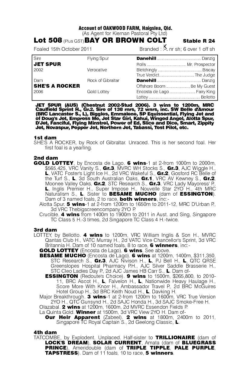 Miss Marx - pedigree