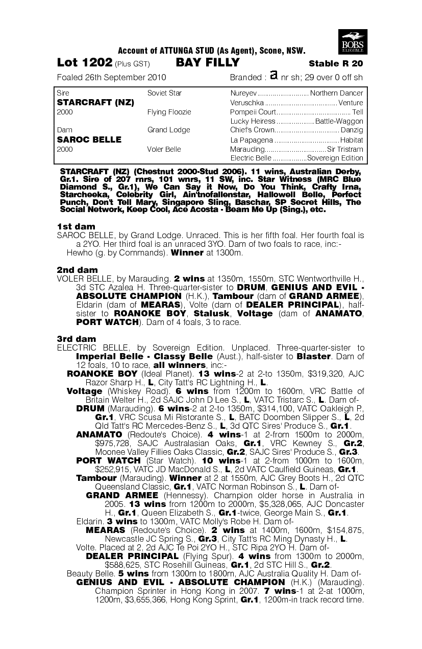 Sarocstar (AUS) - pedigree