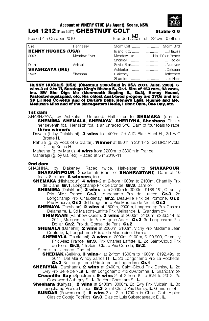 Henny Hughes (USA) / Shashzaya (IRE) - pedigree