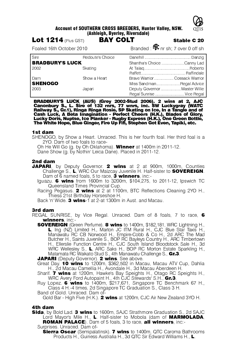 Lucky Shen - pedigree