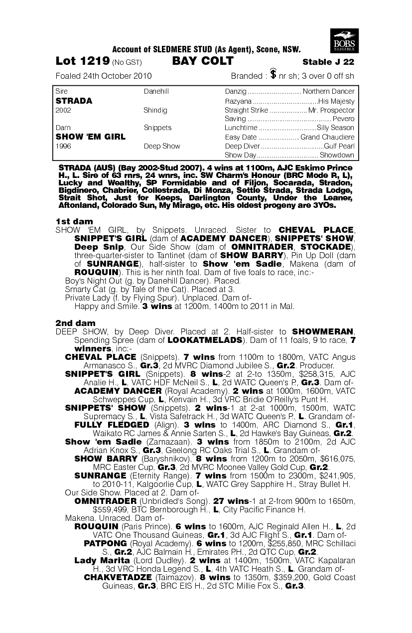 Strada (AUS) / Show 'Em Girl (AUS) - pedigree