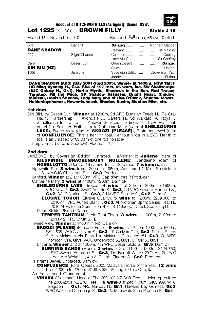 Dane Shadow (AUS) / Sin Bin (NZ) - pedigree