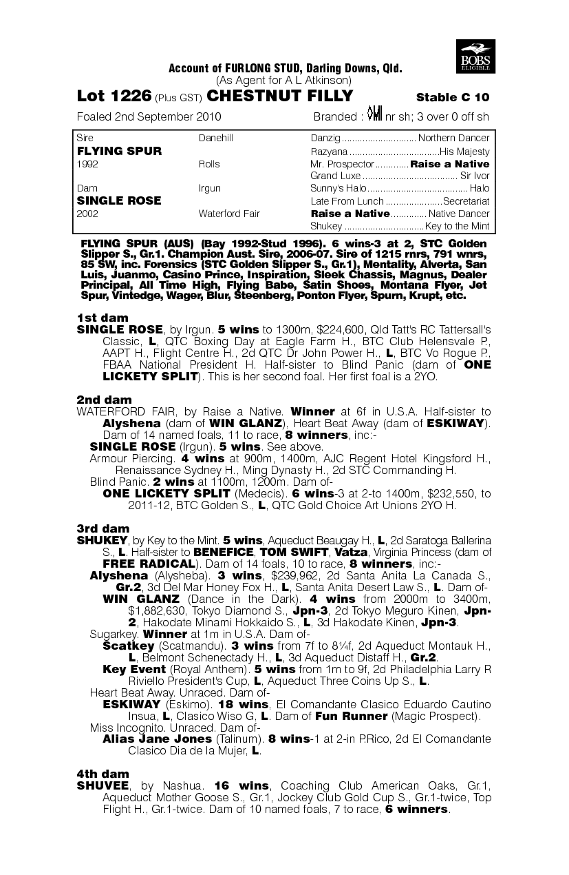 Rose In Bloom - pedigree