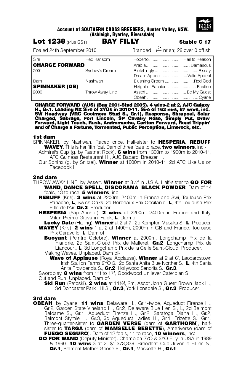 Downwind (AUS) - pedigree