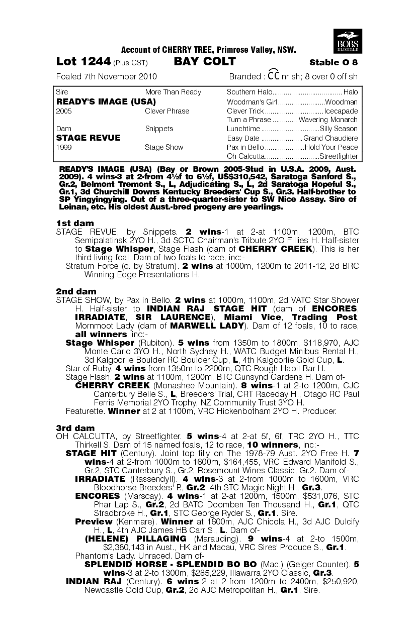 Ready's Image (USA) / Stage Revue (AUS) - pedigree