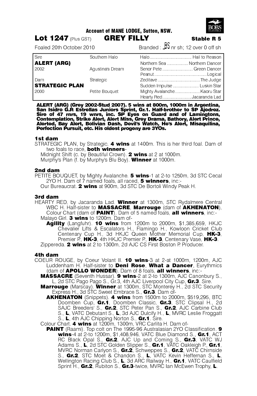 Plan For Diamonds - pedigree