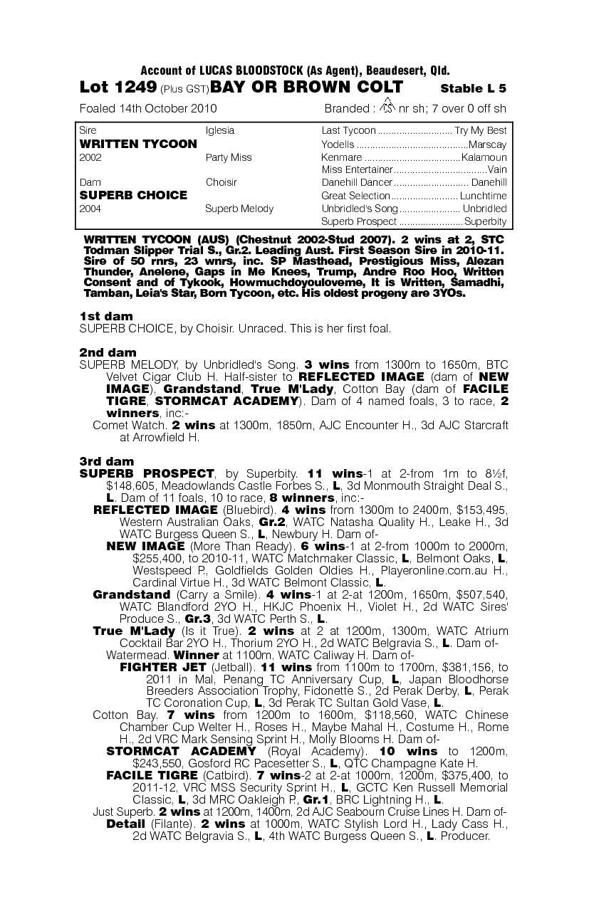 Powerful Fighter - pedigree