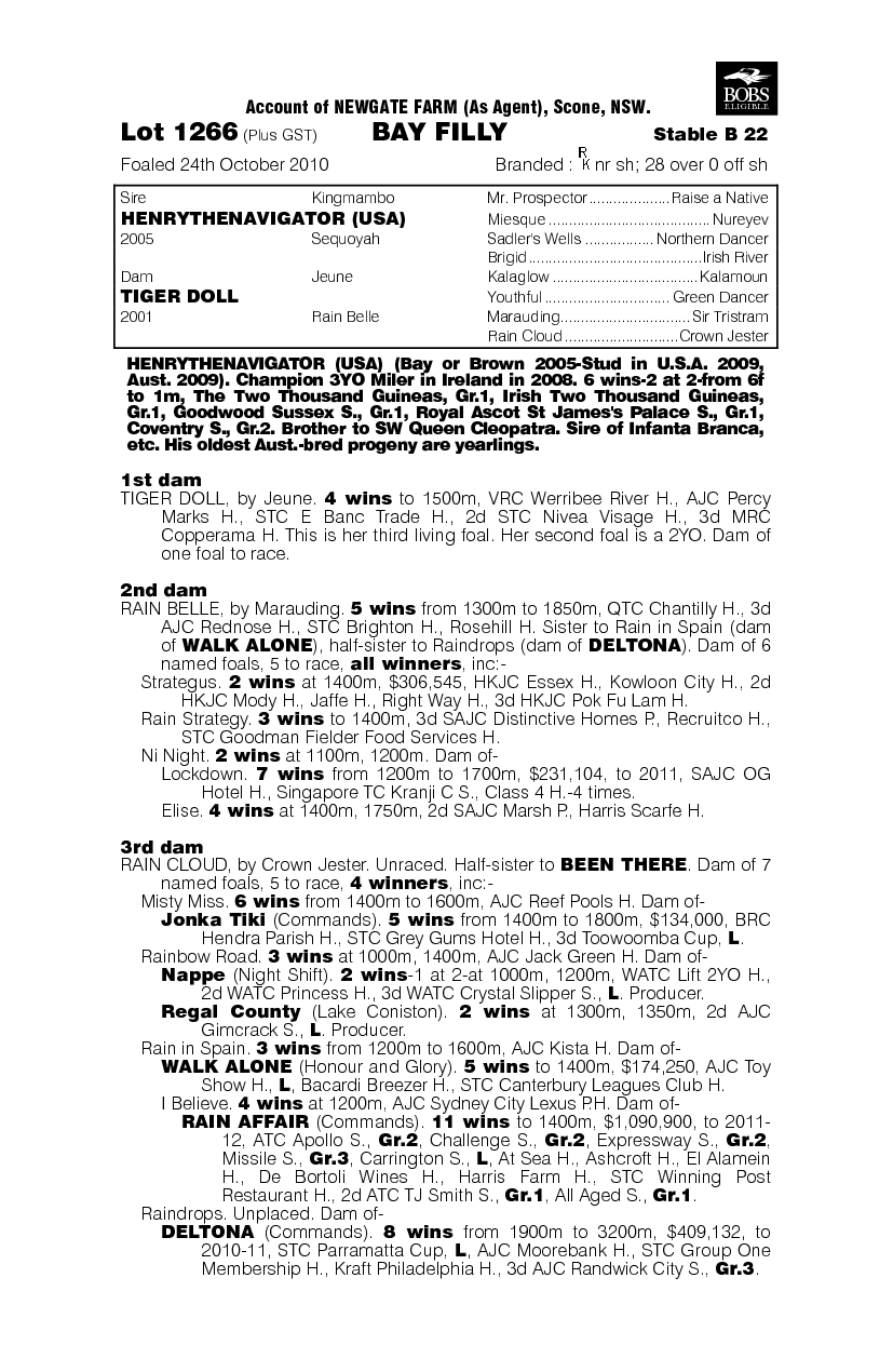 Go Ada Go - pedigree