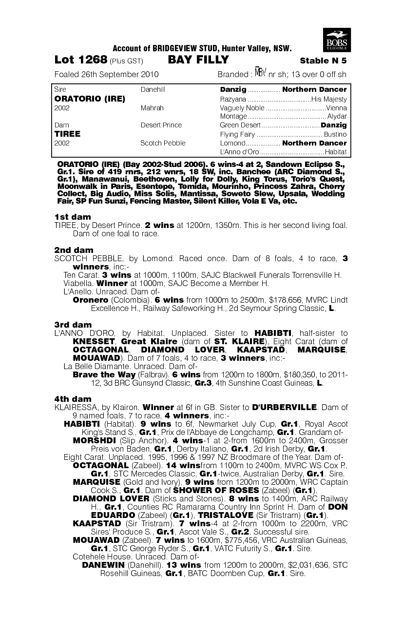 Tiree Times A Lady - pedigree