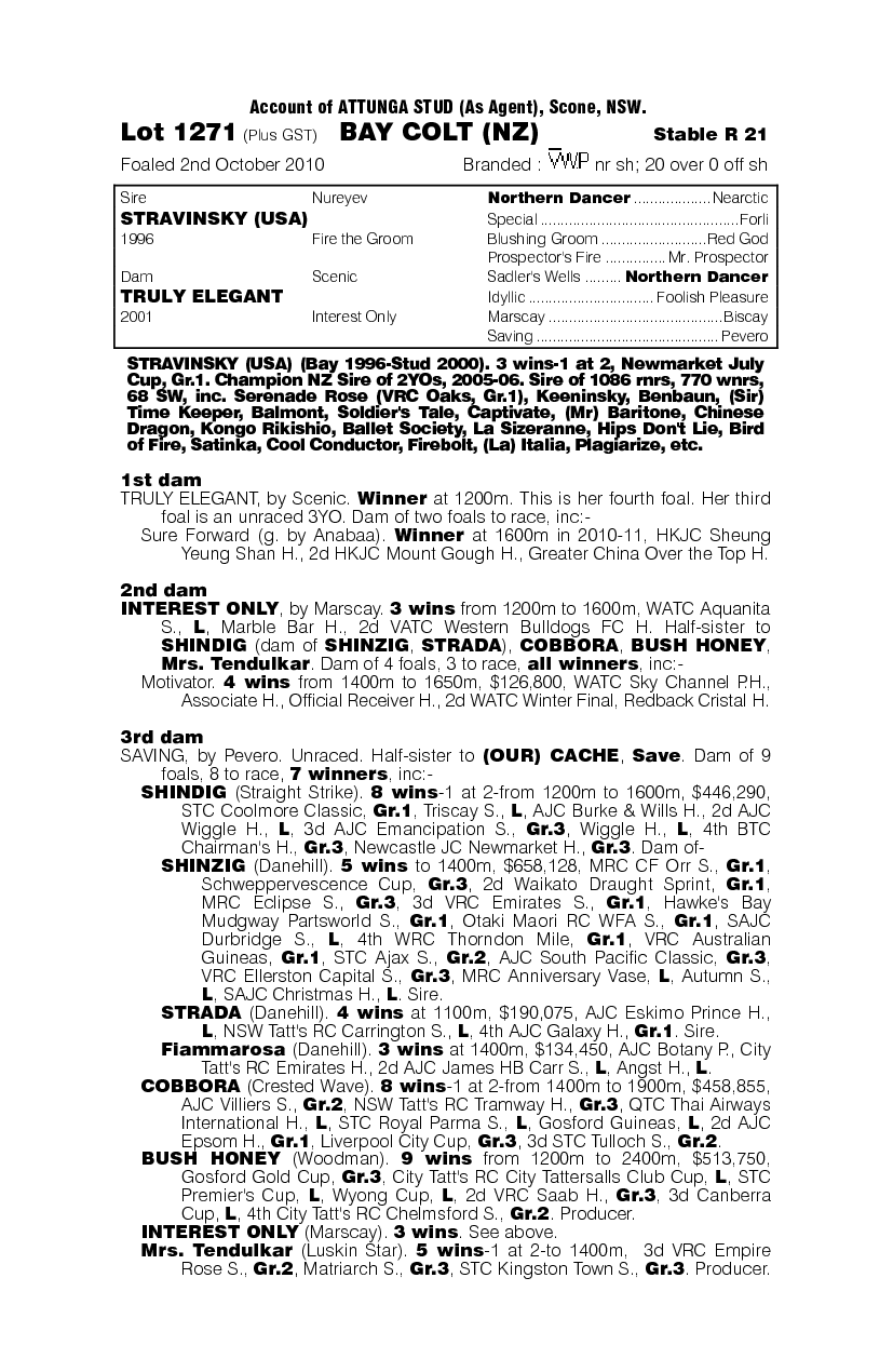 Classical Prince (NZ) - pedigree