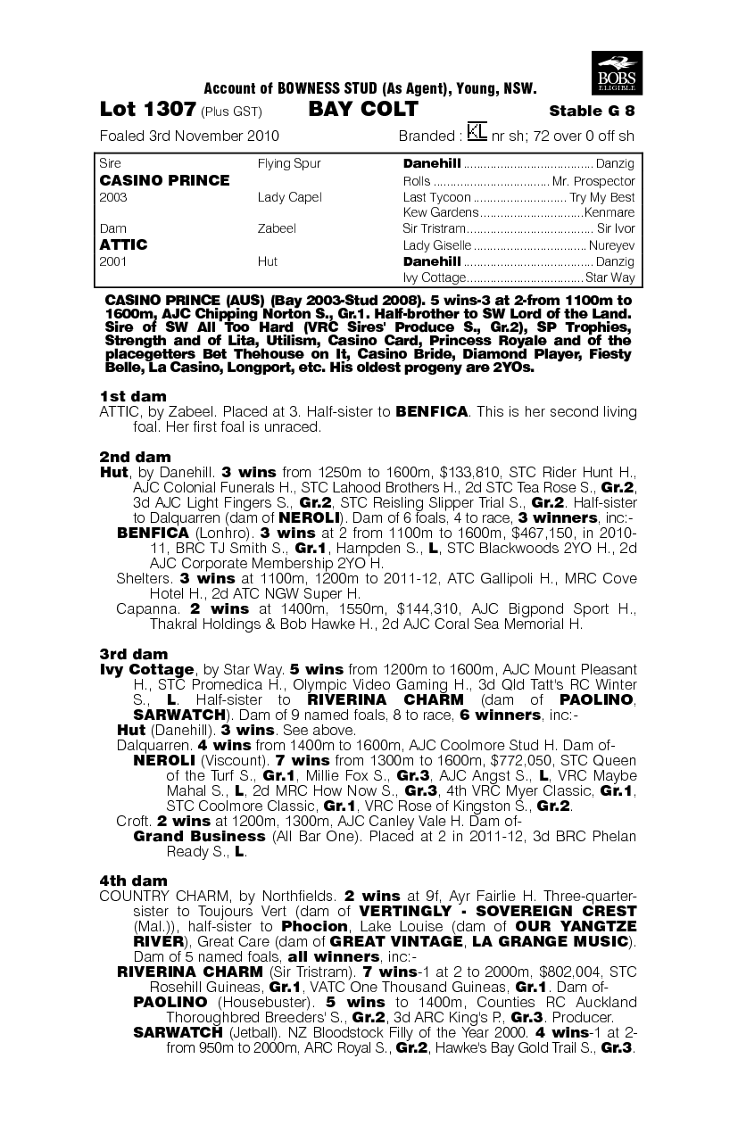 It's Dark In Here - pedigree