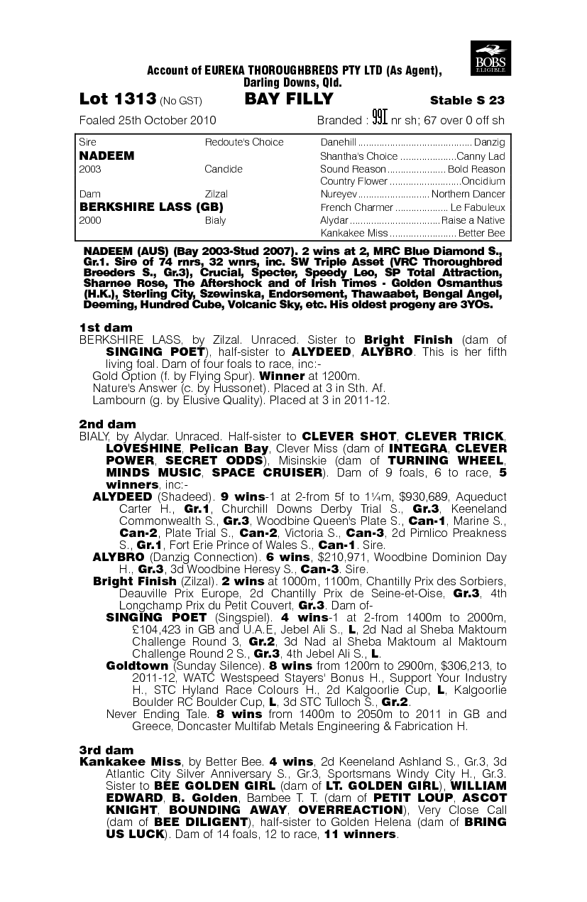 I Saw Yers (AUS) - pedigree