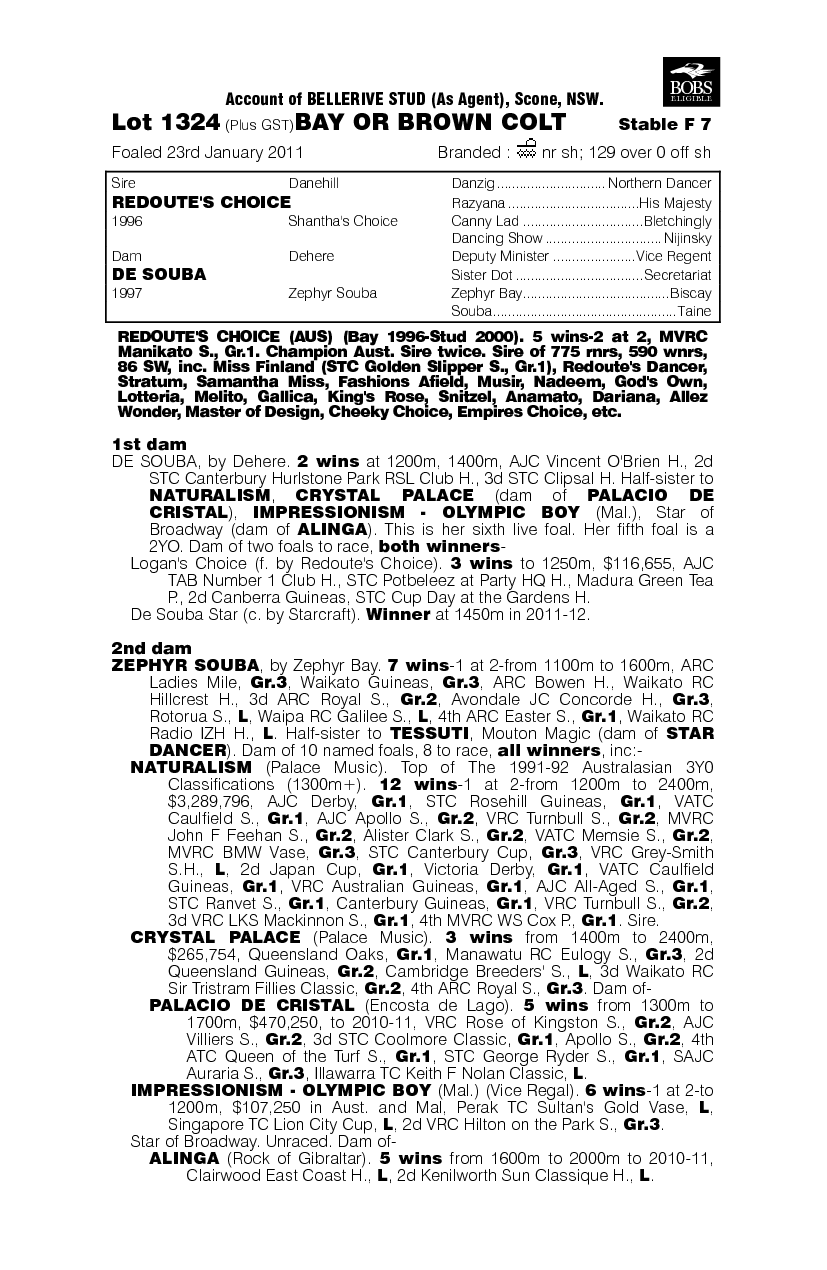 Hard Case - pedigree