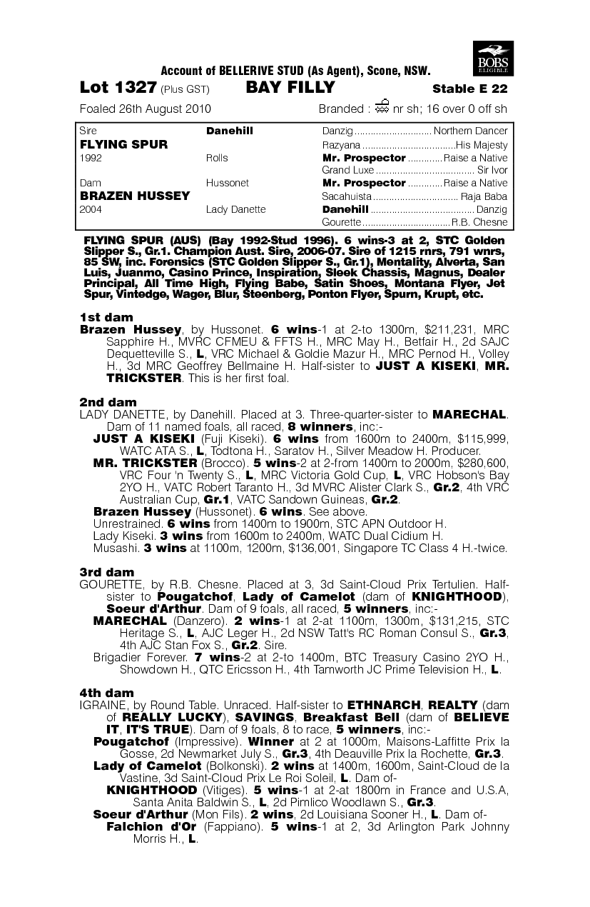 Flying Spur (AUS) / Brazen Hussey (AUS) - pedigree