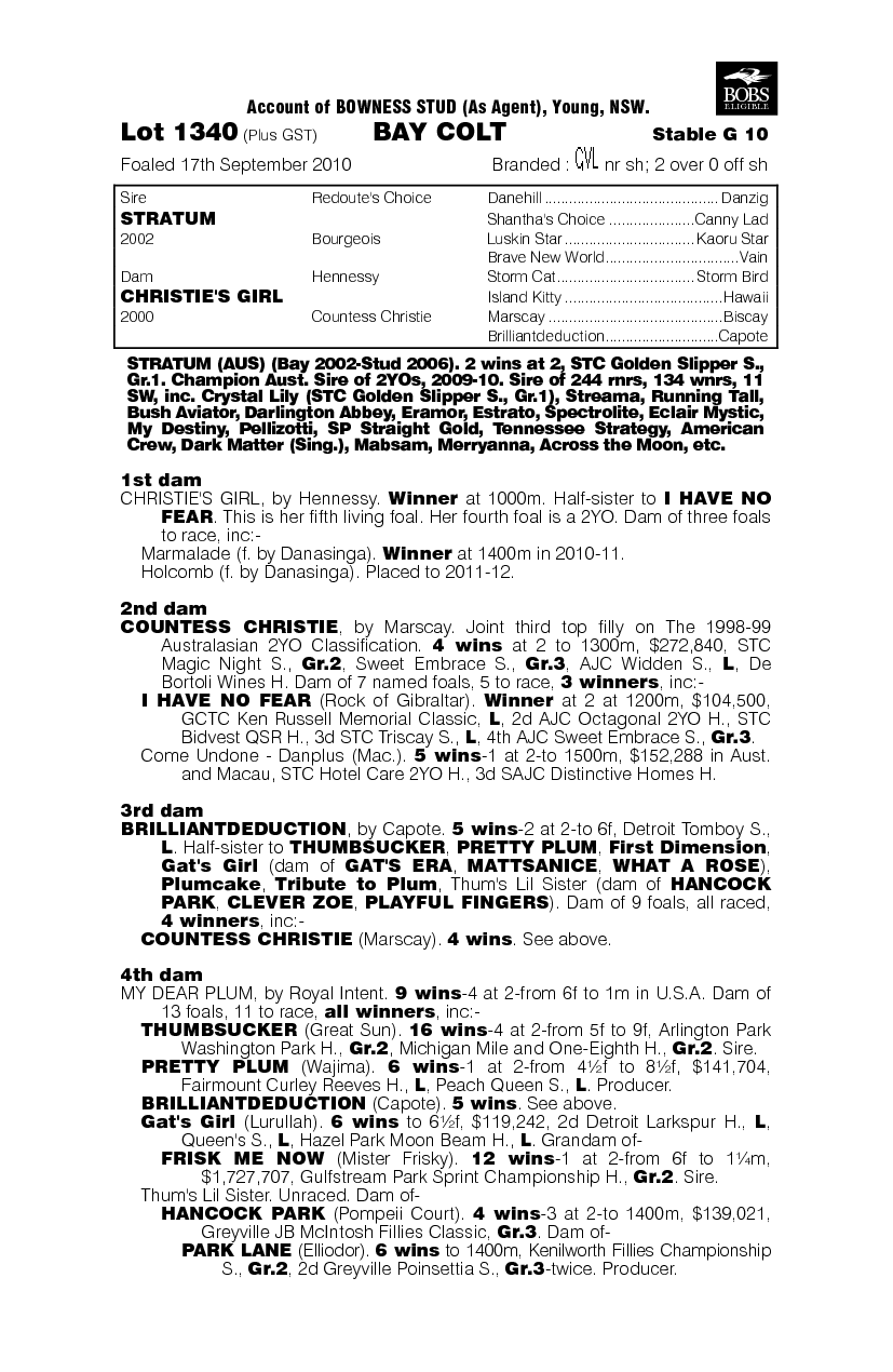 Stratum (AUS) / Christie's Girl (AUS) - pedigree