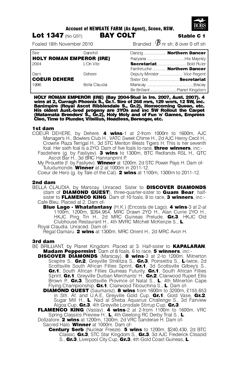 King Brother (AUS) - pedigree