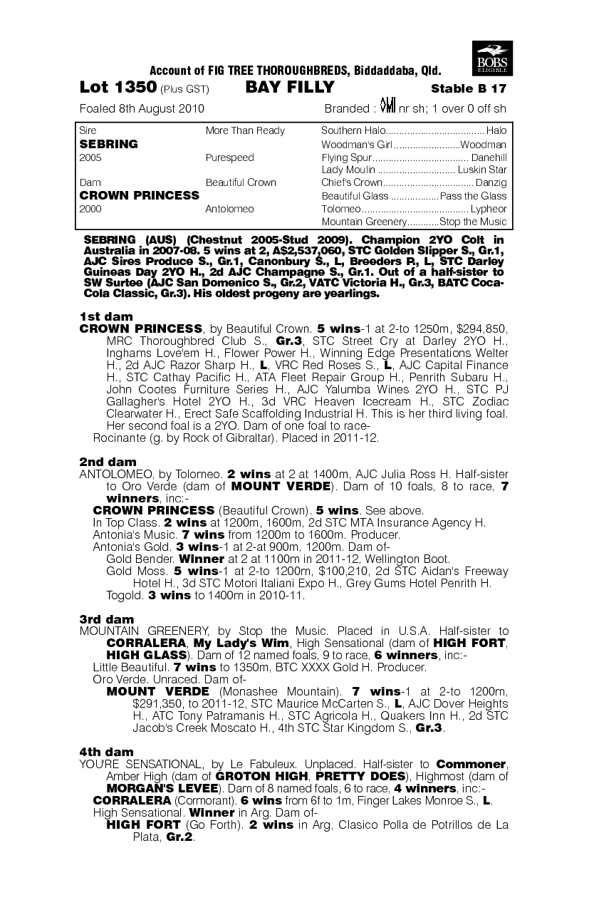 Shebrings Class - pedigree